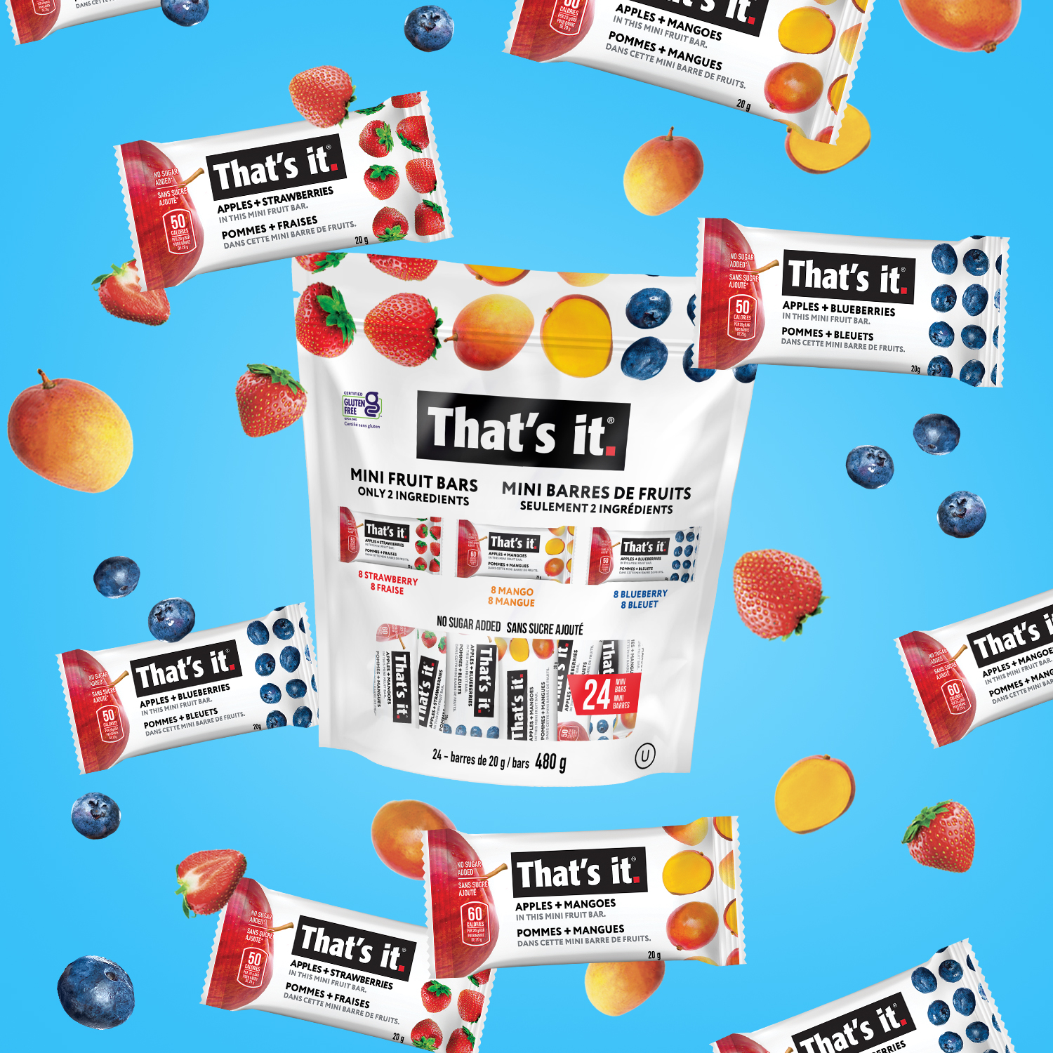 That's it Mini Fruit Bars, 24-count